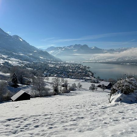 Verena'S Boutique Villa Au Lac Sachseln Buitenkant foto